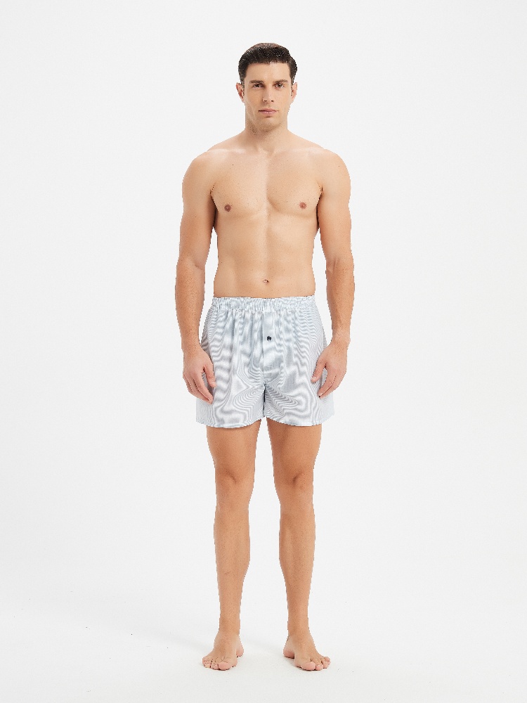 10pcs Men's Underwear Spring/S - Boxer Brief Pack Cotton review and price